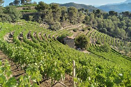 Azienda Ka Mancinè
