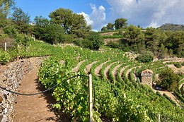 Azienda Ka Mancinè
