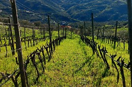 Azienda Ka Mancinè
