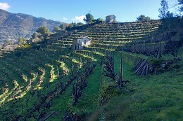 Azienda Ka Mancinè