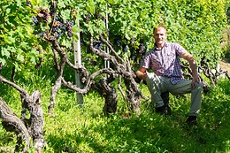Cantina El Zeremia