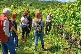 Società Agricola Giovanni Terenzi
