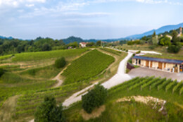 Tenuta Amadio