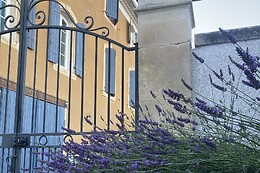 Domaine Forvent