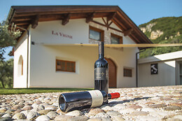 Azienda Agricola La Vigne