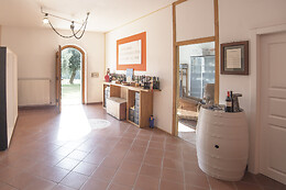 Azienda Agricola La Vigne