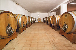 Azienda Agricola La Vigne