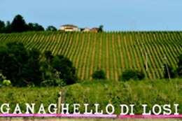 Azienda Agricola Ganaghello