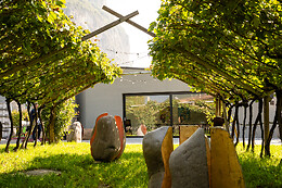Azienda Agricola De Vigili