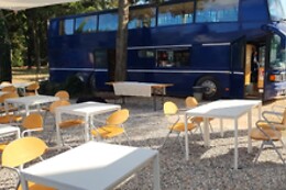 Agribus29