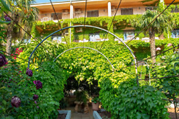 HOSTAL LOS ROSALES
