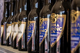 Birrificio Torino