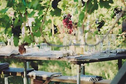 La Bandina Traditional Wines