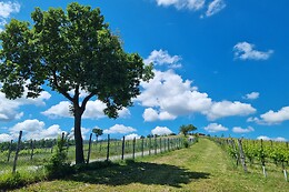 Tenuta di Aljano