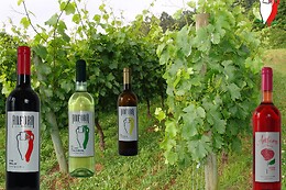 Quinta de Santa Marinha