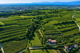 Colle d'Oro sul Lago