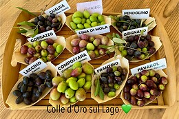 Colle d'Oro sul Lago