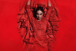TEATRO FLAMENCO GRANADA