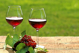 Cantina Gajaudo