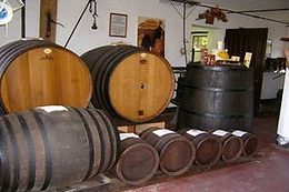 Agriturismo Acetaia Paltrinieri