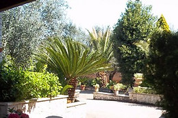Contrada Macchia