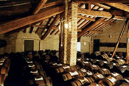 Agriturismo Acetaia Paltrinieri