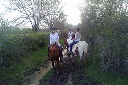 AGUAS TRANQUILAS