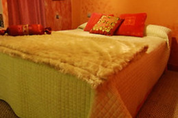CASA RURAL SANTA ANA