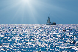 VELA BARCELONA