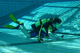 BORK YOU