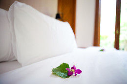 HOTEL MIRADOR - MADRID