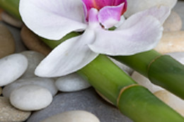 Terra Luna SPA