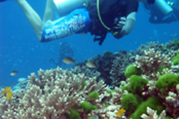TOSSASUB DIVING CENTER