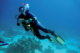 DIVE PARADIS