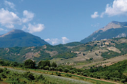 Agriturismo il Vecchio Carro