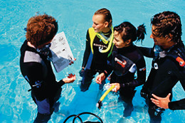Diving In Elba