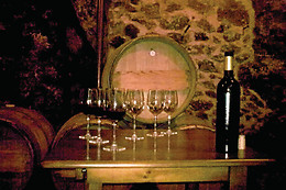 CASA RURAL MAGNANIMVS