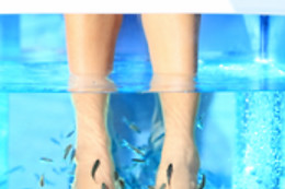 SANLUCAR FISH SPA