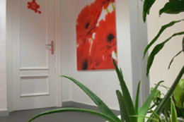 CLINICAS MASSANA
