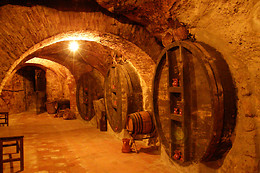 BODEGAS HISTORICA DON CARLOS