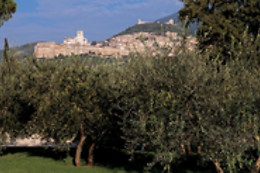 Saio Assisi
