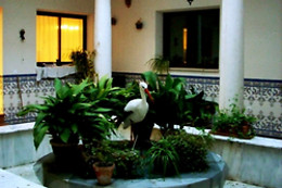 CENTRO ORNITOLOGICO EL PRIMILLAR