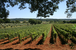 Podere La Regola