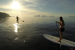 PRADO SURF