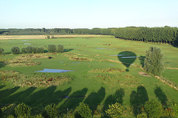 Airventure Ballooning