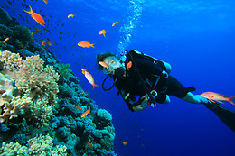 TOSSASUB DIVING CENTER