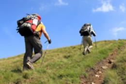 Eco Life Experience - Fuga Perfeita
