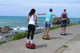 Gyrozone