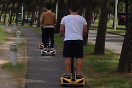 Gyrozone