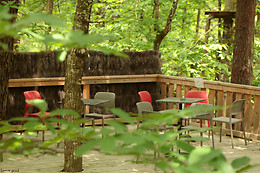 Forêt Adrénaline Carnac